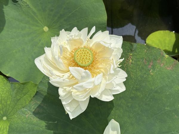 サンプル画像2