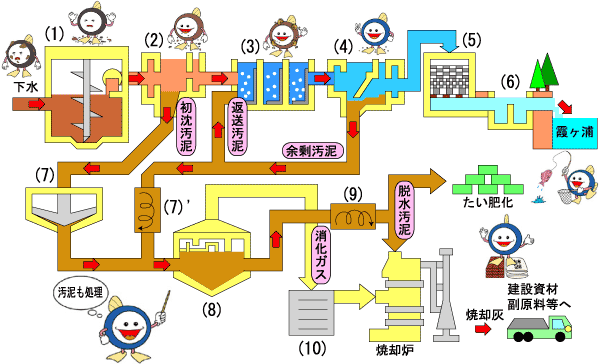 霞ケ浦浄化センターの下水処理の流れ