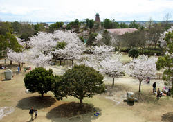 霞ヶ浦総合公園