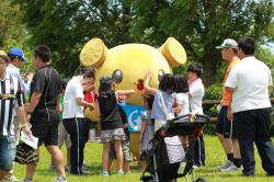 泳げる霞ケ浦市民フェスティバル