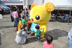 大相撲土浦・牛久場所