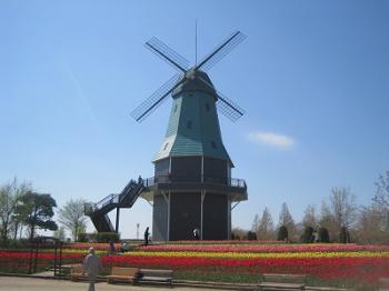 風車 土浦市公式ホームページ