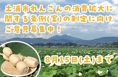 れんこん条例策定パブコメ募集